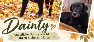 Dainty